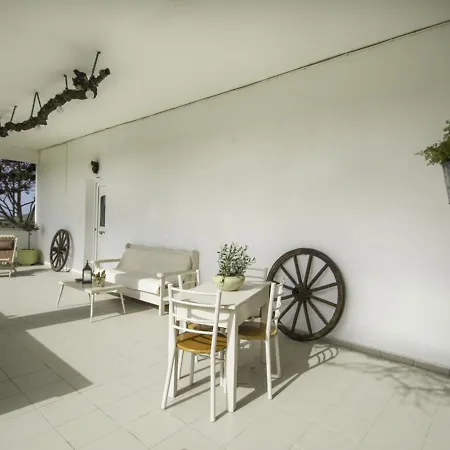 펜션 Olive House Zefyria